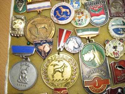 IMG_6360.jpg