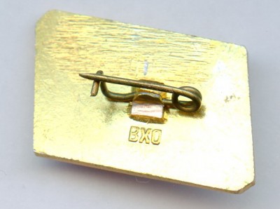 МГУ Биофак 1930-1980 (заколка).jpg