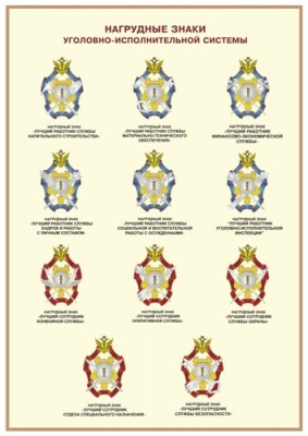 17нагрудные знаки.jpg