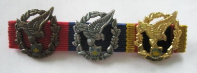 Классность ВВС Австрии Фрачник.jpg