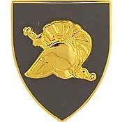 JUNIOR GOLD CADET PIN.jpg