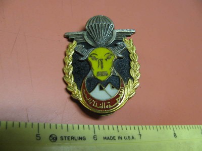 AlziroSFbadge.jpg