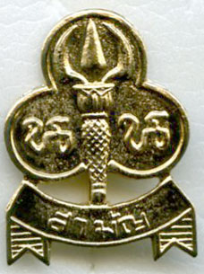 img312.jpg