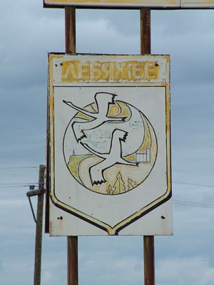 Лебяжье.jpg