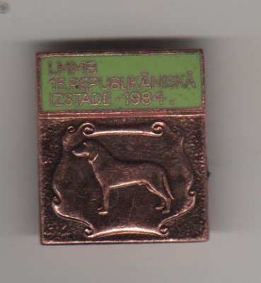 выставка собак Латвии.jpeg