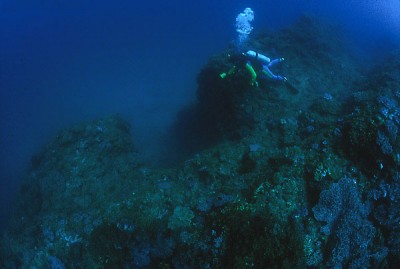 Yonaguni_14.jpg