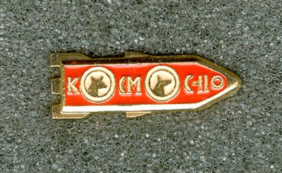 Kosmos-110.jpg