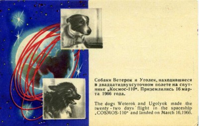 Ветерок и Уголек.jpg