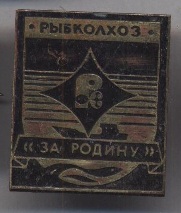 4073436952.jpg