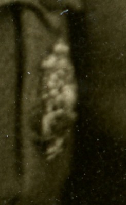 img318.jpg