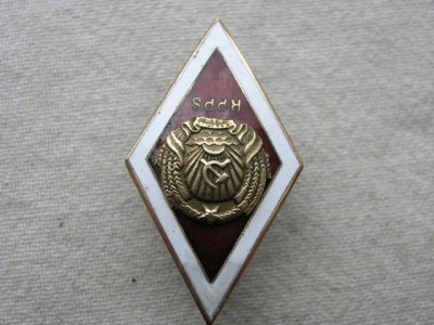 P1010022.JPG