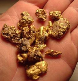 gpgold2.jpg