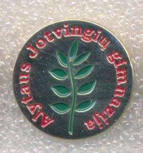 gimnazija - Copy.jpg