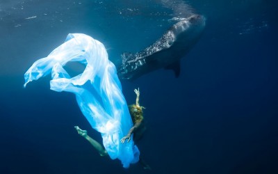 kristian-schmidt-underwater-photography-shark-whale-chicquero-171.jpg