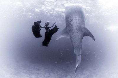 kristian-schmidt-underwater-photography-shark-whale-chicquero-141.jpg
