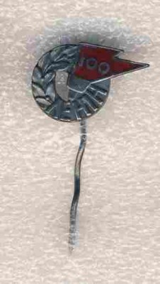 100 лет Ленину.4.jpg