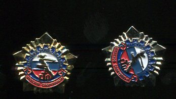 Шелехов спортивный ГТО.jpg