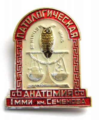 Patanatomiya_1_MMI_Sechenova_a.jpg