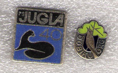 image-35.jpg