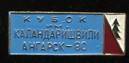 Ориентирование Ангарск. Кубок Каландаришвили.jpg