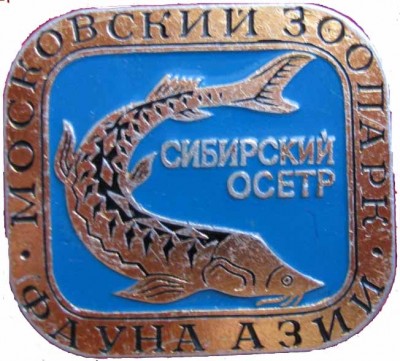 Зоо 050.jpg
