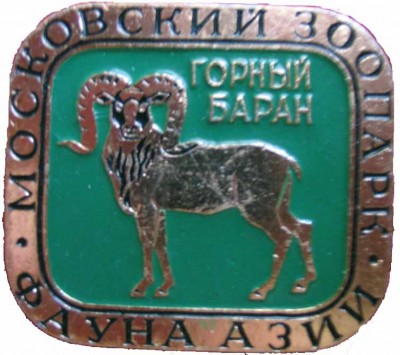 Зоо 049.jpg