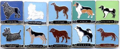 dog_300.jpg (71.33 КБ) 3670 просмотров dog_300.jpg