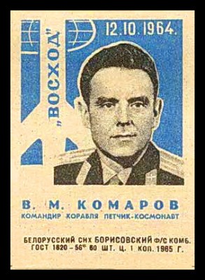 комаров син бор.jpg