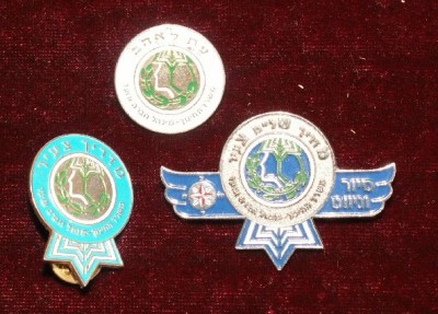 PICT2613.JPG (111.6 КБ) 3399 просмотров PICT2613.JPG