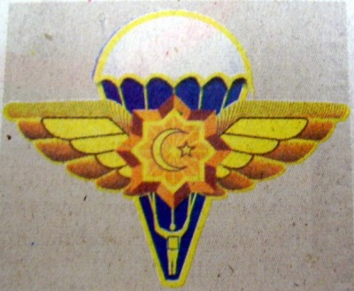 PB110022.jpg