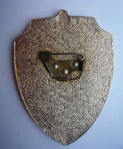 Жетон ВВ_1.jpg