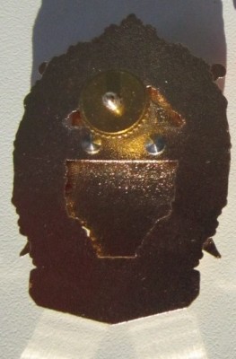 Знак СВИ (2).JPG