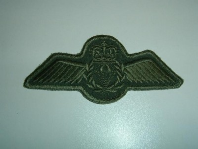 SAR Tech wings.jpg