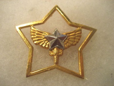 Brazilian Air Force Badge Pilot Wings 1960s.JPG
