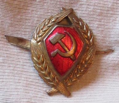2 сж.jpg