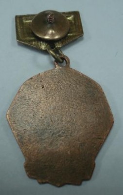 Реверс чемпиона.JPG