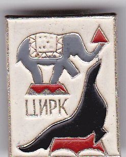 cirkas-(2).jpg
