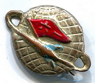 з.ш. спутник на орбите.jpg