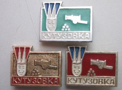 КУТУЗОВКА (разнокрасы).JPG