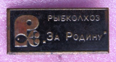 РКЗ За Родину.JPG