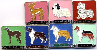 dog_210.jpg (96.12 КБ) 3687 просмотров dog_210.jpg