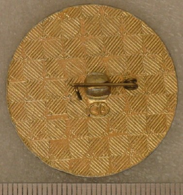 IMG_2498 (1024x768).jpg