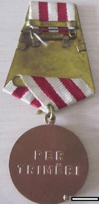 Bravery_medal_new.jpg