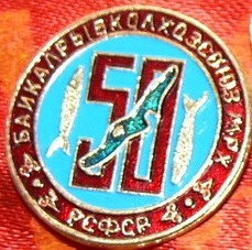 133275492.jpg