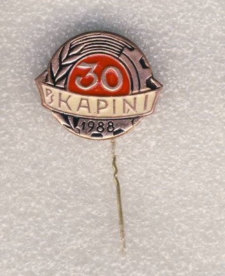 30 лет совхозу Капини..jpg
