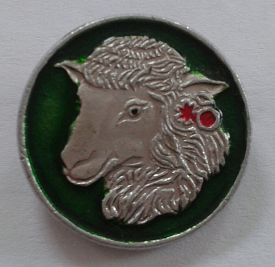 BVc7l4477.jpg