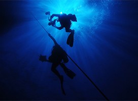 diving_13-05-09.jpg