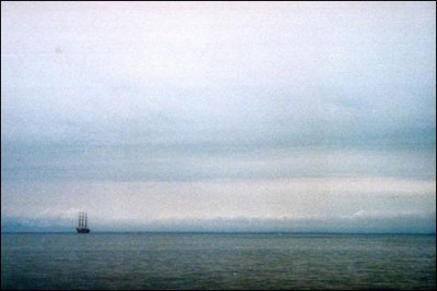 50_zaliv.jpg