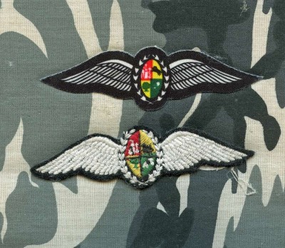 SOUTH AFRICA Air Force Pilot insignia group_thumb.jpg