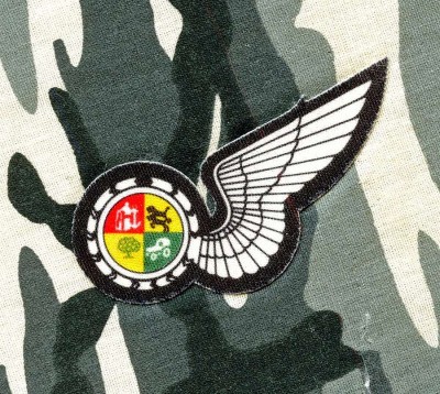 SOUTH AFRICA Air Force Navigator qualification cloth printed 1988-1990s_thumb.jpg